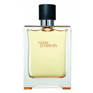 Hermes Terre D'Hermes woda toaletowa spray 100ml