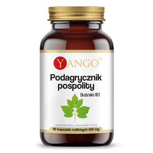 Podagrycznik pospolity ekstrakt 10:1 suplement diety 90 kapsułek