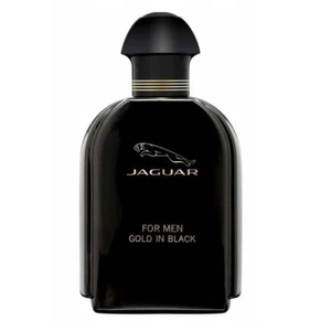 Gold In Black For Men woda toaletowa spray 100ml