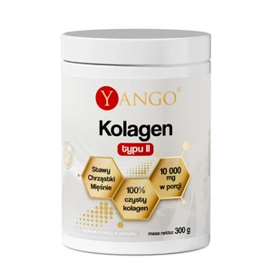 Kolagen typu II suplement diety w proszku 300g