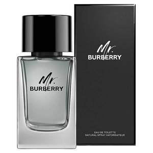 Mr. Burberry woda toaletowa spray 50ml