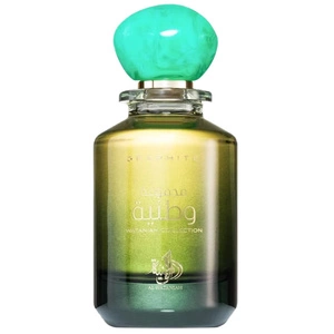 Collection Graphite woda perfumowana spray 100ml