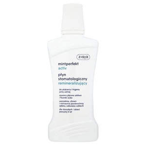 Mintperfekt Activ płyn do płukania jamy ustnej stomatologiczny remineralizujący 500ml