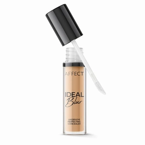Ideal Blur Under Eye Perfecting Concealer korektor pod oczy 2W 5g